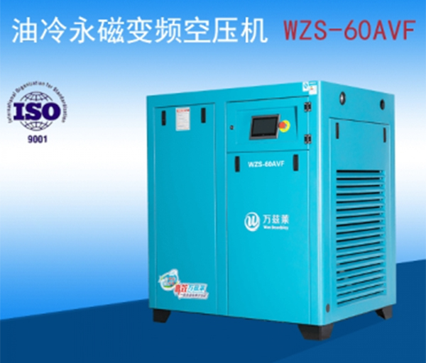 萬（wàn）茲萊永磁變頻螺杆機